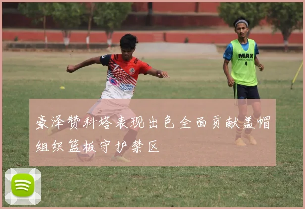 豪泽赞科塔表现出色全面贡献盖帽组织篮板守护禁区