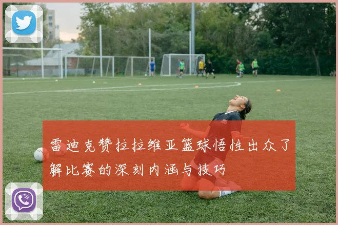 雷迪克赞拉拉维亚篮球悟性出众了解比赛的深刻内涵与技巧
