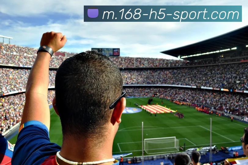 168体育APP 封面图
